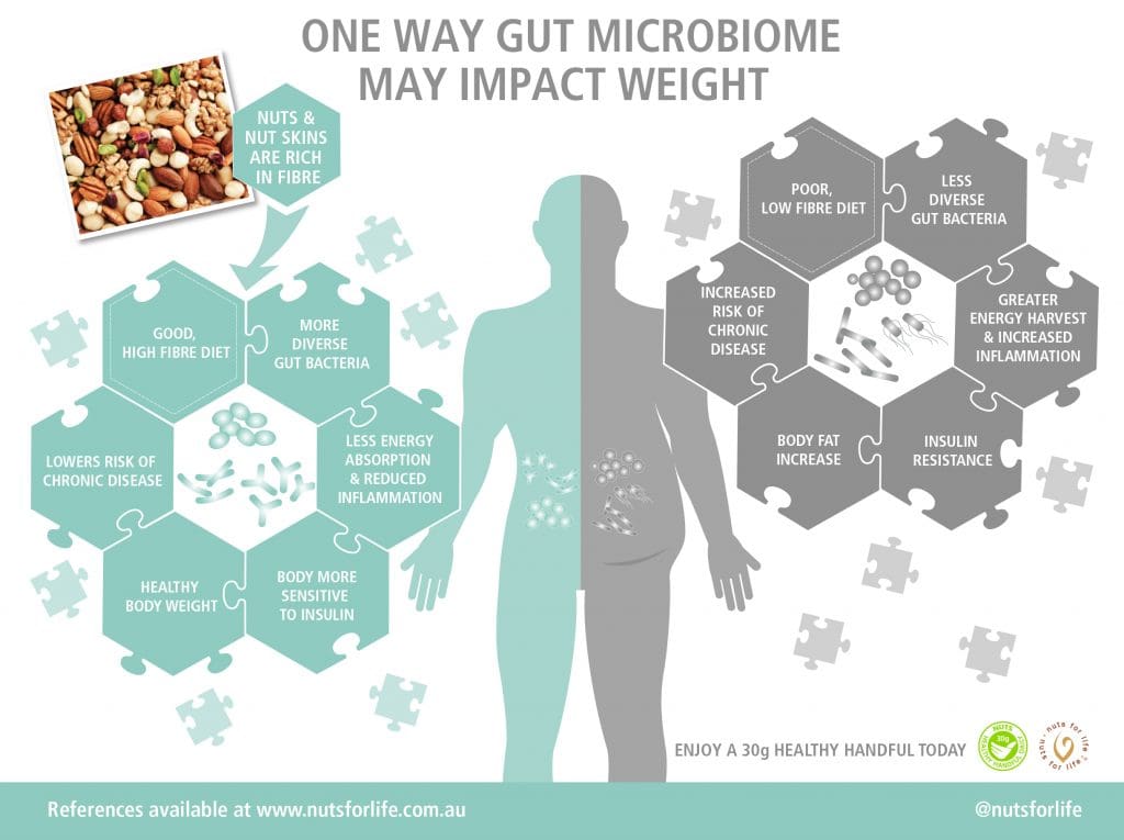 Nuts for Life - Nuts and health infographic - One way gut microbiome may impact weight